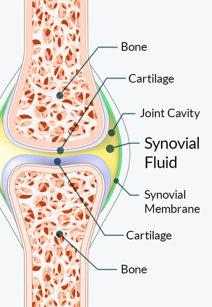 Seller diagram describing how Joint Genesis is marketed to support joint comfort