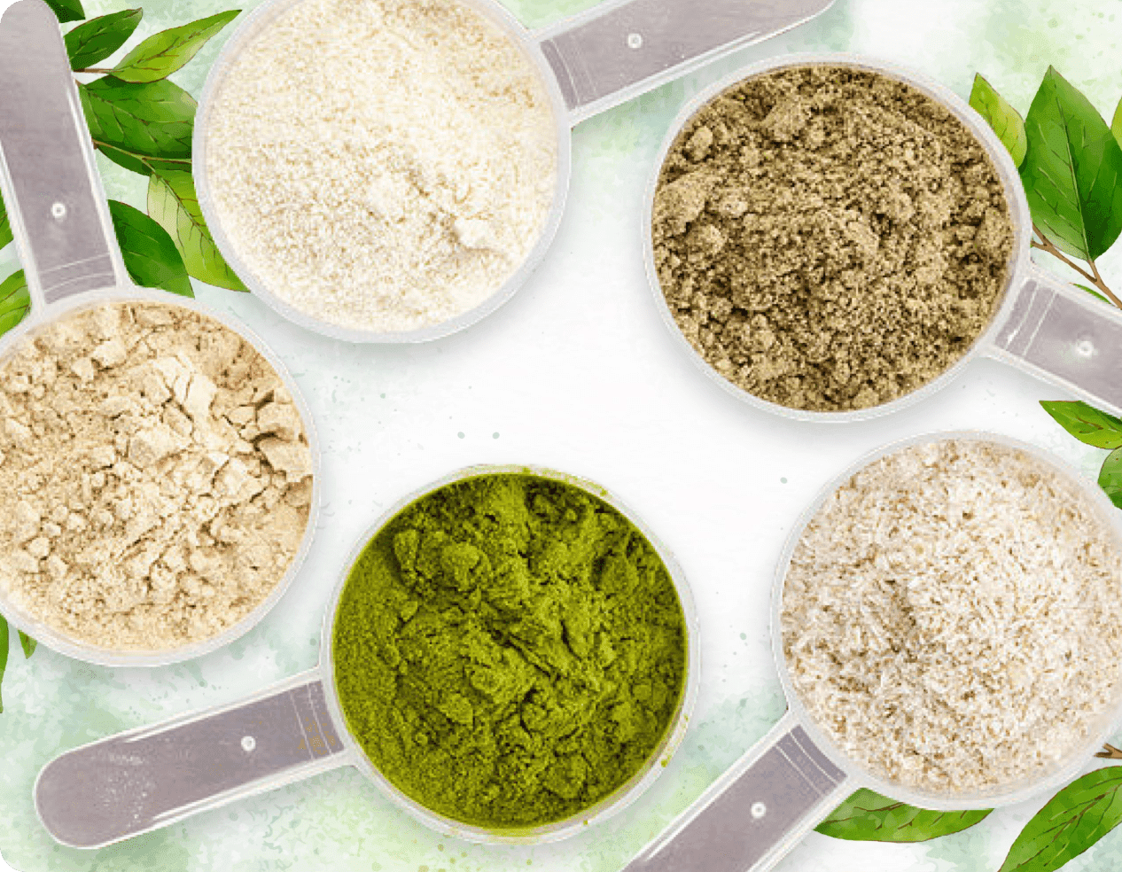 ProDentim ingredient blend marketing image supplied by the seller